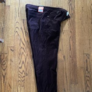 Luxe velvet women’s tapered purple pants 8/29